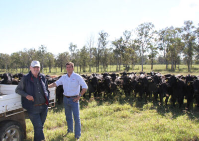 Don Nicol and Freddy Maisonnave (Paraguay) observing some heifers