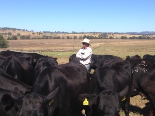 Testimonial from Paraguayan Beef Breeding Consultant