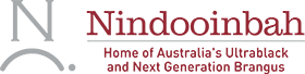 Nindooinbah Logo